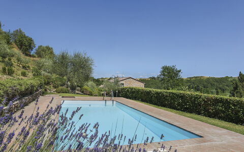 Amos: Wasser, Pflanze, Himmel, Schwimmbad, Natur, Azurblau, Natürliche Landschaft, Baum, Vegetation, Grundstueck