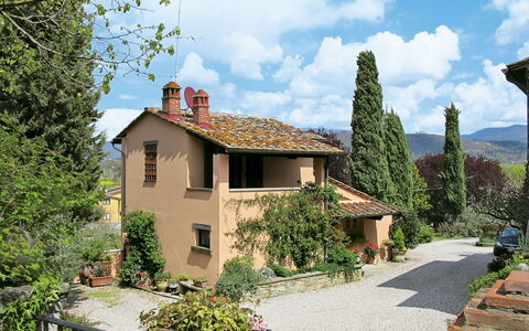 Cadellura: Pflanze, Himmel, Wolke, Fenster, Gebäude, Grundstueck, Baum, Haus, Wohngebiet, Hütte