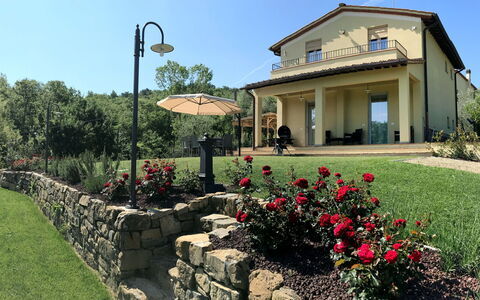 Pianelli: Pflanze, Himmel, Blume, Gebäude, Strassenlicht, Grundstueck, Baum, Fenster, Wohngebiet, Hütte