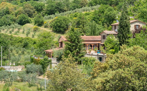 La Felcaia: Pflanze, Pflanzengemeinschaft, Natürliche Landschaft, Baum, Grundstueck, Hochland, Wohngebiet, Grundeigentum, Ground, Strauch