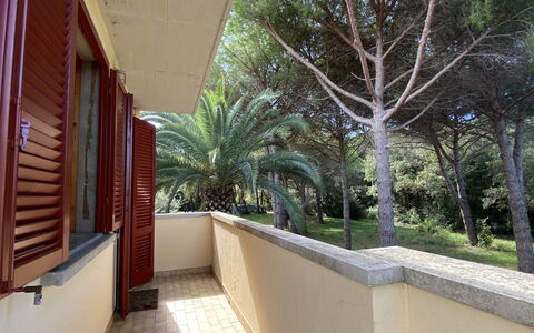 Pineforest: Gebäude, Pflanze, Baum, Schatten, Interior Design, Arecales, Holz, Wohngebiet, Fassade, Grundeigentum