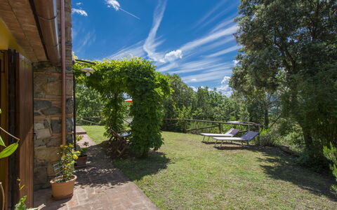 Podere Gabruccino: Pflanze, Himmel, Wolke, Schatten, Baum, Grundstueck, Blumentopf, Natürliche Landschaft, Gras, Strauch