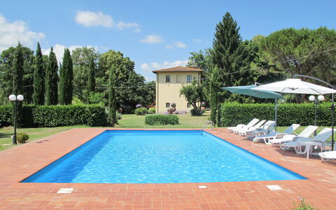 Laura: Schwimmbad, Eigentum, Grundeigentum, Gras, Wohngebiet, Freizeit, Haus, Gebäude, Urlaub, Hinterhof