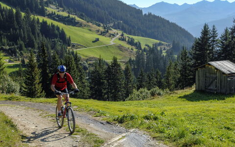 Valmeinier 606: Fahrrad, Rad, Pflanze, Berg, Himmel, Fahrrad-Rad