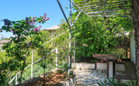 Senj 631: Schatten, Garten, Hinterhof, Zaun, Geländer, Outdoor Struktur