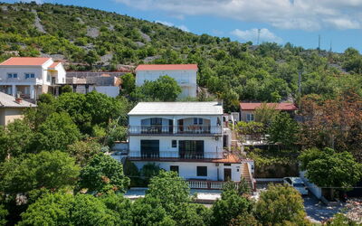 Senj 631