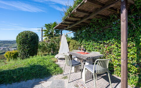 Cossombrato 607: Strauch, Garten, Gartenmöbel, Schatten, Tisch Im Freien, Landscaping, Stuhl, Eco Hotel, Hinterhof, Zimmerpflanze