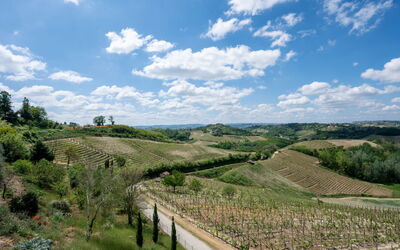 Unterkunft:&nbsp;Agriturismo Colle di San Michele 604.2