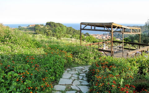 San Lorenzo al Mare 639: Blume, Himmel, Pflanze, Pflanzengemeinschaft, Natürliche Landschaft, Grundstueck, Baum, Gartenmöbel, Gras, Schatten