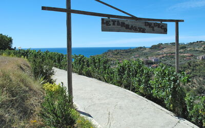 San Lorenzo al Mare 639