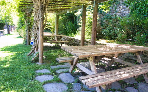 Dolcedo 663: Pflanze, Möbel, Außenbank, Schatten, Gartenmöbel, Picknicktisch, Holz, Vegetation, Baum, Biome