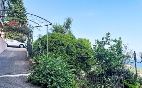 Pietra Ligure 612: Vegetation, Strauch, Gehölz, Garten, Schatten, Landscaping, Auffahrt, Walkway, Pfad
