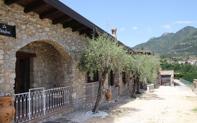 Tremosine 651