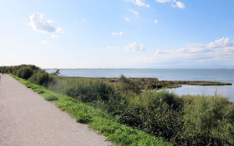 Tiziano: Wolke, Himmel, Pflanze, Wasser, Ökoregion, Natürliche Landschaft, Grundstueck, Küsten Und Ozeanische Forms, Horizont, Bank