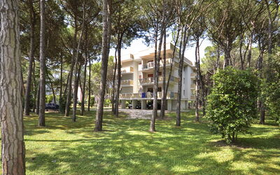Bibione 634: Eigentum, Baum, Haus, Gras, Estate, Gebäude, Grundeigentum, Die Architektur, Gehölz, Zuhause
