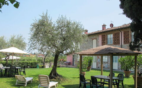 Lucca 657: Gartenmöbel, Strauch, Haus, Tisch Im Freien, Möbel, Zuhause, Garten, Rasen, Hinterhof, Estate