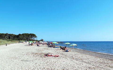 Palazzeta Iv: Wasser, Himmel, Strand, Baum, Küsten Und Ozeanische Forms, Landschaft, Freizeit, Horizont