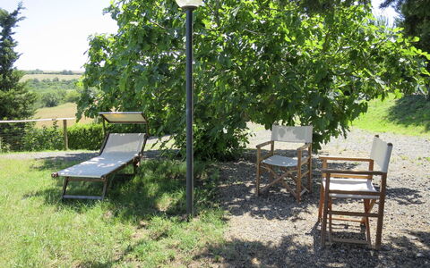 Guardistallo 640: Pflanze, Möbel, Außenbank, Grün, Schatten, Gartenmöbel, Tabelle, Baum, Sonnenlicht, Gras