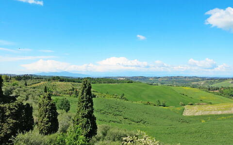 Lajatico 602: Wolke, Himmel, Pflanze, Ökoregion, Grün, Natürliche Landschaft, Natürlichen Umgebung, Baum, Grundstueck, Hochland