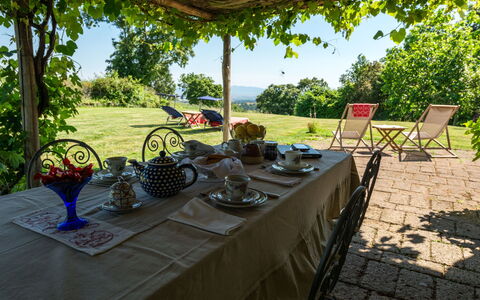 Ginestra: Pflanze, Tabelle, Eigentum, Geschirr, Himmel, Baum, Tisch Im Freien, Gartenmöbel, Die Architektur, Schatten
