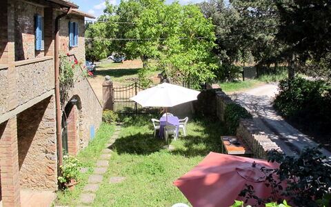 Monteriggioni 602: Eigentum, Garten, Garten, Gras, Hinterhof, Haus, Ländliches Gebiet, Baum, Landschaft, Grundeigentum