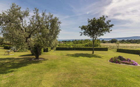 Lago di Bolsena 663: Himmel, Blau, Gras, Baum, Grün, Natürliche Landschaft, Landschaft, Einfach, Strauch, Wiese