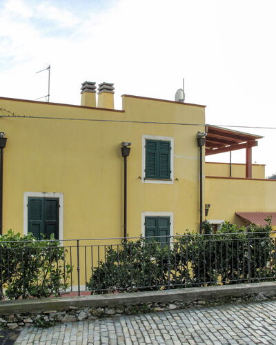 Pucci (Ptl310)