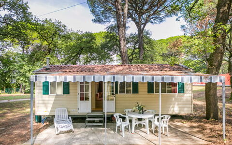 Unterkunft:&nbsp;Belvedere Pineta Camping Village 653.3
