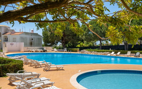 Quinta Do Torrejão: Wasser, Pflanze, Eigentum, Schwimmbad, Himmel, Natur, Azurblau, Schatten, Gartenmöbel, Baum