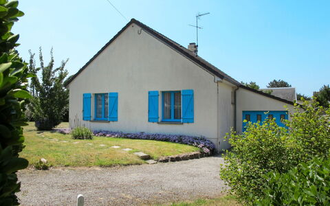Colibri: Pflanze, Himmel, Gebäude, Fenster, Haus, Baum, Grundstueck, Hütte, Wohngebiet, Gras