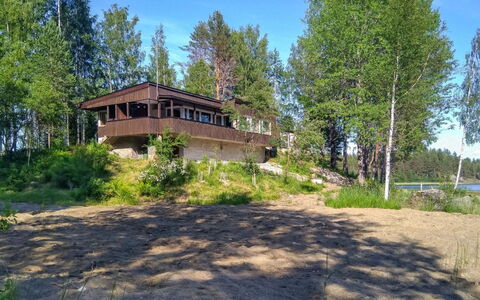 Kiviranta: Baum, Grundstueck, Hütte, Estate, Blockhaus, Lärche, Wald, Immergrün