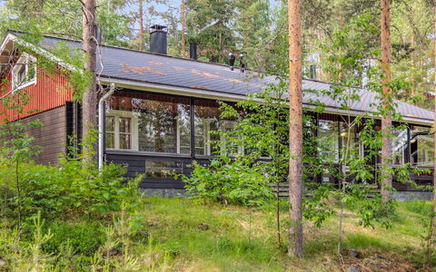 Luppo-Koli: Holz, Hütte, Blockhaus, Wald, Schuppen, Gartenbauten, Lärche, Wald, Holzbeize