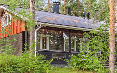 Luppo-Koli: Holz, Hütte, Blockhaus, Wald, Schuppen, Gartenbauten, Lärche, Wald, Holzbeize