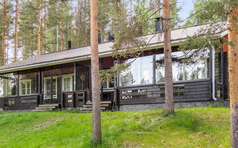 Luppo-Koli: Holz, Hütte, Blockhaus, Wald, Schuppen, Gartenbauten, Lärche, Wald, Holzbeize