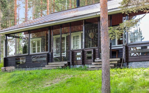 Luppo-Koli: Holz, Hütte, Blockhaus, Wald, Schuppen, Gartenbauten, Lärche, Wald, Holzbeize