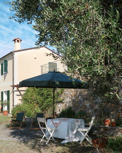 Il Terebinto (Imp427)