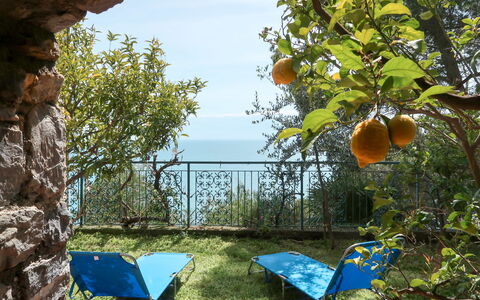 Orizzonte: Himmel, Pflanze, Natur, Stuhl, Baum, Schatten, Biome, Gras, Gartenmöbel, Natürliche Landschaft