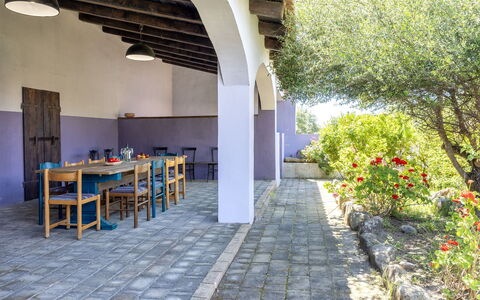 Oliviola: Garten, Schatten, Hazienda, Hinterhof, Estate, Garten, Landscaping, Bauernhaus, Gartenmöbel, Tisch Im Freien