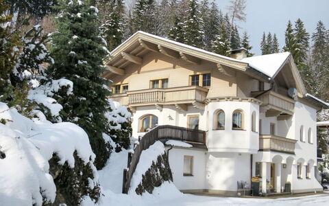 Kohler: Schnee, Winter, Eigentum, Haus, Zuhause, Grundeigentum, Estate, Baum, Villa, Gebäude