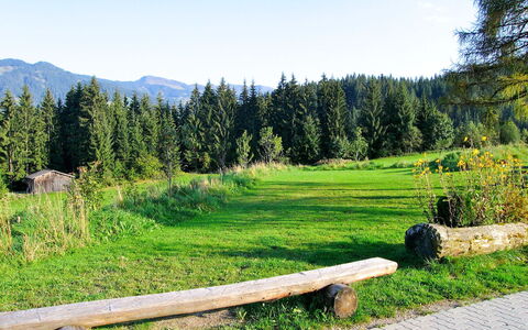 Schwalbenhof: Natürliche Landschaft, Wildnis, Natur, Natürlichen Umgebung, Wiese, Baum, Berg, Naturschutzgebiet, Weide, Wiese