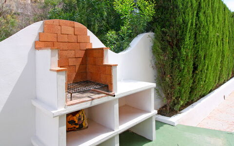 Villa Maria: Pflanze, Blatt, Botanik, Holz, Urban Design, Biome, Grundeigentum, Landschaft, Regal