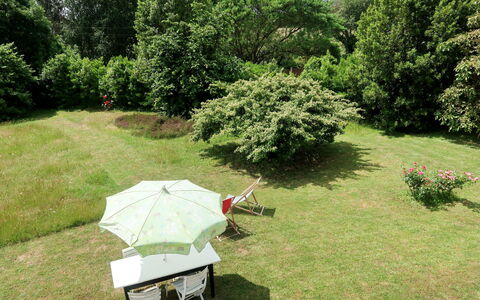 Les Genêts: Pflanze, Pflanzengemeinschaft, Baum, Himmel, Schatten, Natürliche Landschaft, Wiese, Gras, Ground, Landschaft