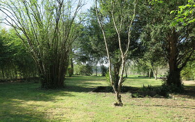 Foncareyre (Gdc100)