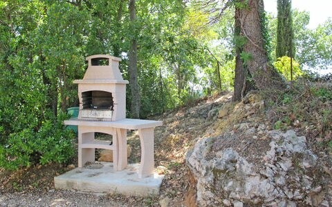 L'Esquirou: Pflanze, Pflanzengemeinschaft, Natürliche Landschaft, Baum, Holz, Ground, Landschaft, Gras, Strauch, Kofferraum
