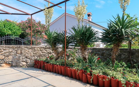 Mateja: Blume, Himmel, Pflanze, Eigentum, Pflanzengemeinschaft, Botanik, Wolke, Die Architektur, Vegetation, Biome