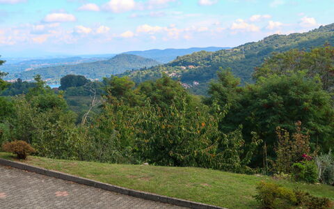 Poggio Dei Tigli (Nbb300)