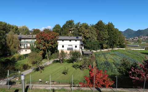 Angeli: Pflanze, Gebäude, Himmel, Natürliche Landschaft, Baum, Fenster, Haus, Grundstueck, Vegetation, Gras