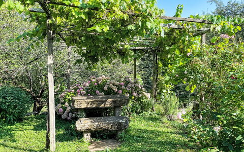 Casa Lienartova: Grün, Blatt, Garten, Pflanzengemeinschaft, Schatten, Frühling, Ground, Garten, Botanischer Garten