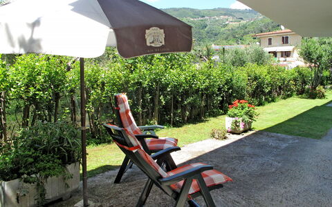 Mandarino: Pflanze, Pflanzengemeinschaft, Himmel, Natur, Gebäude, Schatten, Stuhl, Gartenmöbel, Gras, Tisch Im Freien
