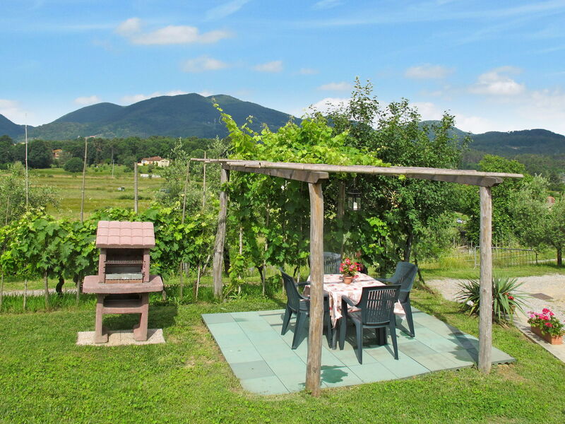 Il Montagnolo (Luu225)